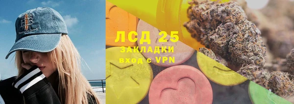 шишки Кукмор