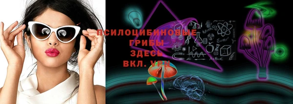 спиды Лабытнанги
