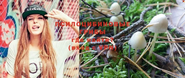 шишки Кукмор