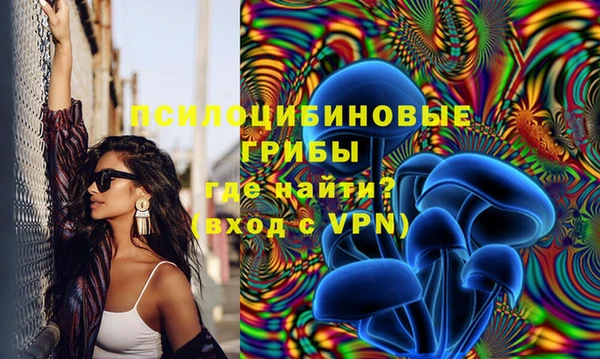 эйфоретик Куртамыш