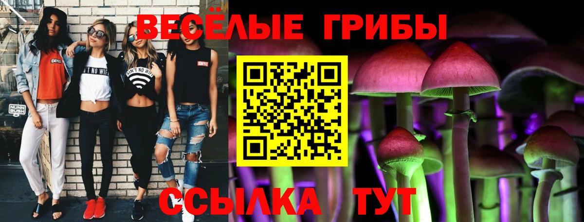Галлюциногенные грибы мицелий Михайловка