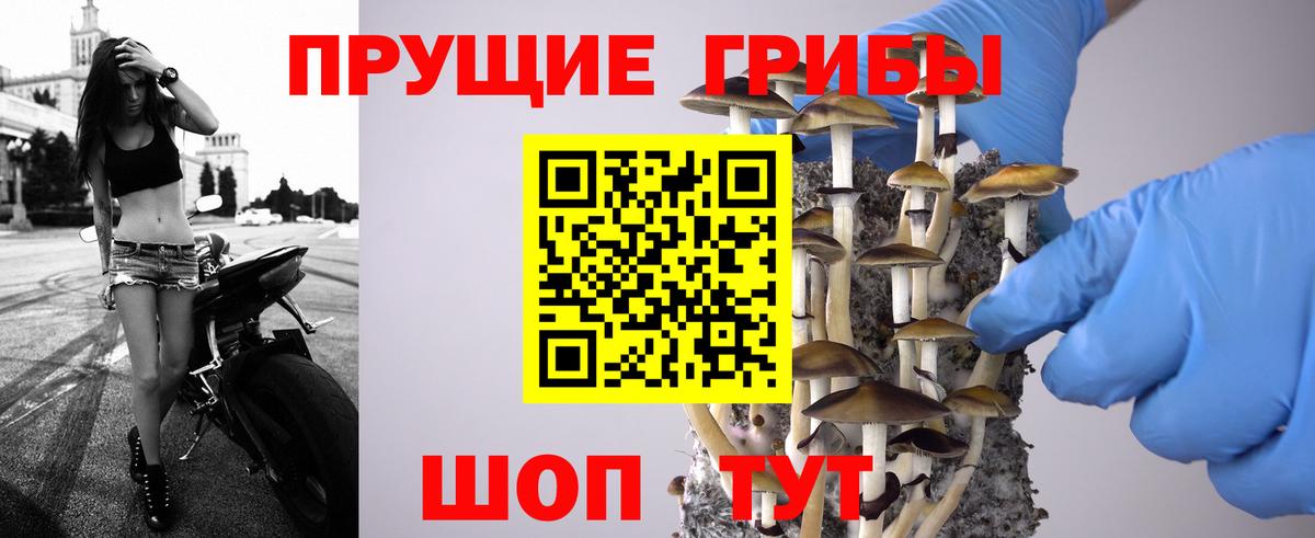 Псилоцибиновые грибы Psilocybe  Вход с VPN  Галлюциногенные грибы мухоморы  продажа наркотиков  Михайловка 